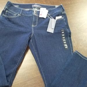 Torrid Premium Jeans